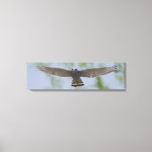 Grijze Hawk op een vreedzaam vliegcanvas Canvas Afdruk (Voorkant)