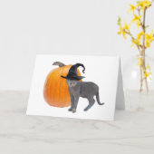 Grijze Heksenkat met Pompoen Halloween Kaart (Gele Bloem)