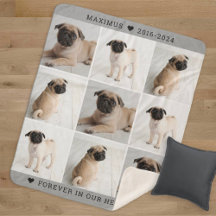 Grijze Hond Gedenk Foto Collage Aandenken