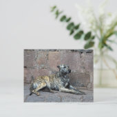 Grijze hond in Cusco, Peru Briefkaart (Staand voorkant)