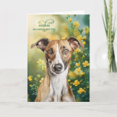 Grijze Hond Kleine Gele Bloemen Beterschap Kaart (Voorkant)