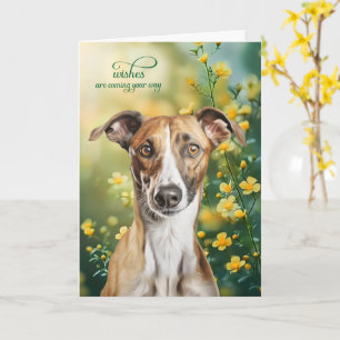 Grijze Hond Kleine Gele Bloemen Beterschap Kaart