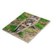 Grijze hond tegeltje (Zijkant)