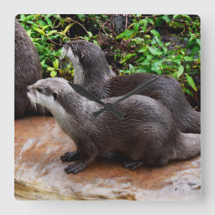 Grijze Hongaarse otters, vierkante wandklok