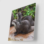 Grijze Hongaarse otters, vierkante wandklok (Hoek)