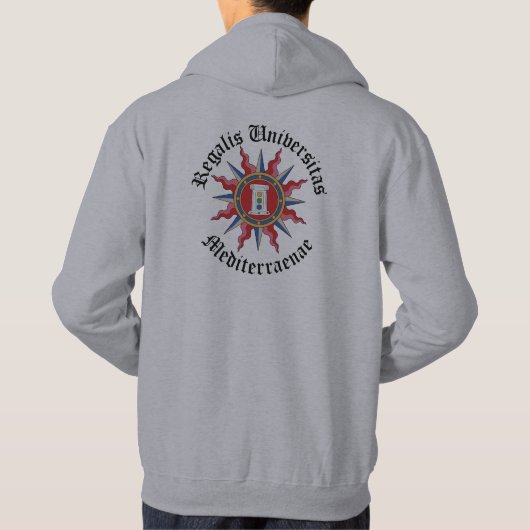 Grijze hoodie (Achterkant)
