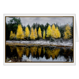 Grijze huid over Tamarack Bog