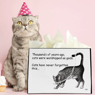 Grijze humoristische Egyptische Mau kat Groot Cadeauzakje