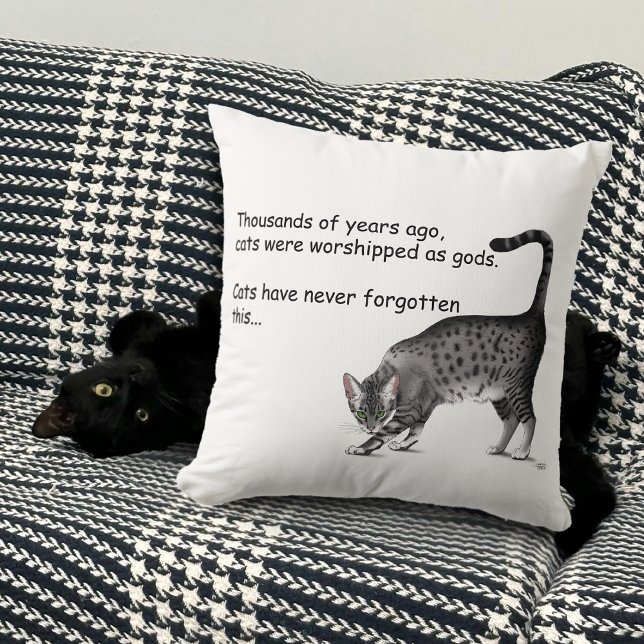 Grijze humoristische grillige kat Egyptische Mau Kussen (Creator heeft geüpload)