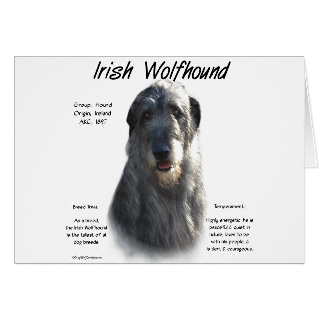 Grijze Ierse Wolfhound Geschiedenis (Voorkant Horizontaal)