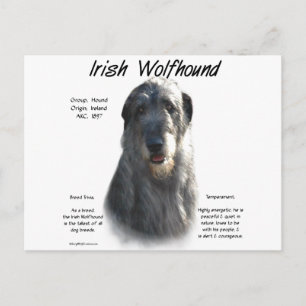 Grijze Ierse Wolfhound Geschiedenis Briefkaart