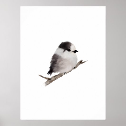 Grijze Jay Bird Poster Print (Voorkant)