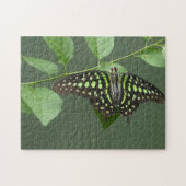 Grijze jay vlinder legpuzzel (Horizontaal)