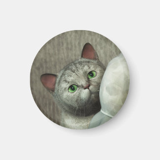 Grijze Kat 1 Magneet