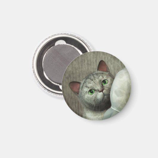 Grijze kat 1 Magnet (Voorkant / Achterkant)