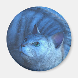 Grijze Kat 4 Magneet