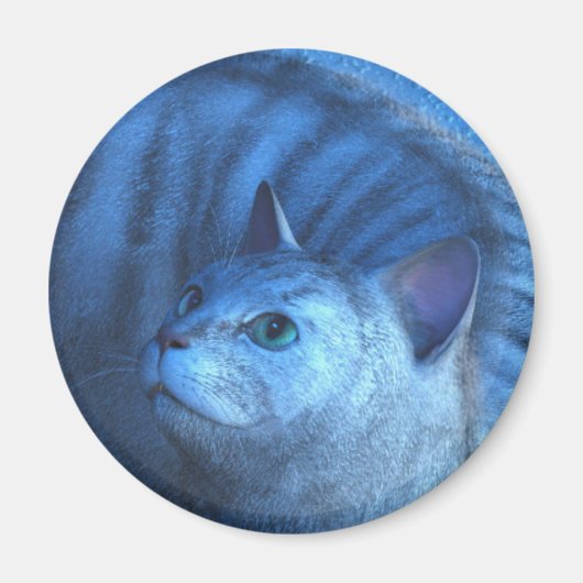 Grijze Kat 4 Magneet (Voorkant)