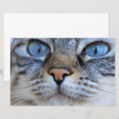 Grijze kat briefpapier (Voorkant / Achterkant)