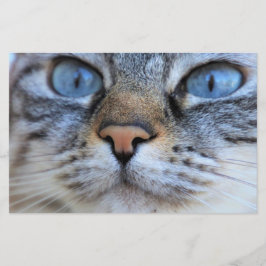 Grijze kat briefpapier