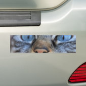 Grijze kat bumpersticker (Op auto)