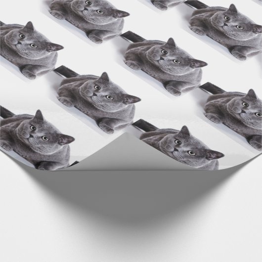 Grijze kat cadeaupapier (Hoek)