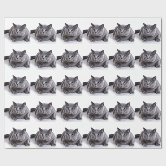 Grijze kat cadeaupapier (Vlak)
