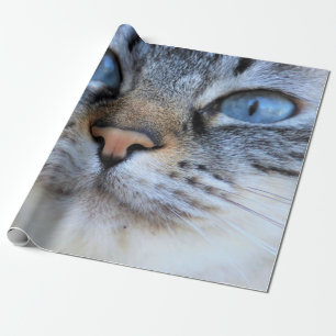 Grijze kat cadeaupapier