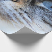 Grijze kat cadeaupapier (Hoek)