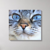 Grijze kat canvas afdruk (Voorkant)