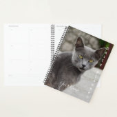 Grijze Kat Chartreux - Dagelijkse Planner- HAMbWG Planner (Display)