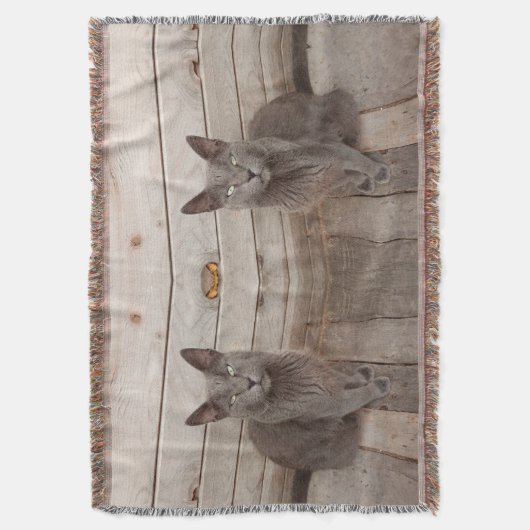 Grijze kat deken (Voorkant Verticaal)