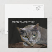 Grijze kat die aan jou denkt briefkaart (Voorkant / Achterkant)
