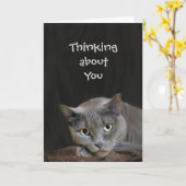 Grijze kat die aan jou denkt kaart (Gele Bloem)