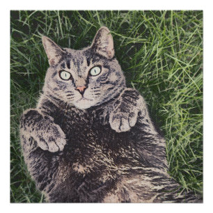 grijze kat die in het gras ligt perfect poster