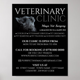 Grijze Kat, Dierenarts, Veterinaire Dienst Adverte Poster