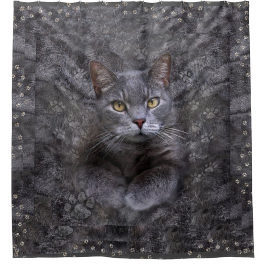 Grijze kat douchegordijn (Voorkant)