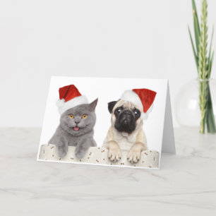 Grijze kat en Chinese Pug Christmas Design Feestdagen Kaart