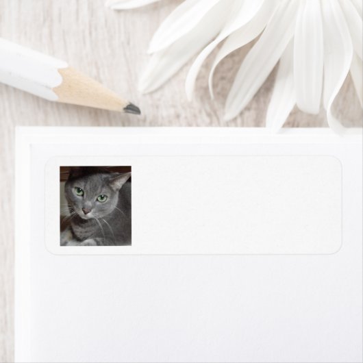 Grijze kat etiket (Insitu)