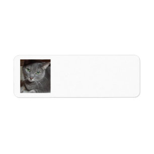 Grijze kat etiket