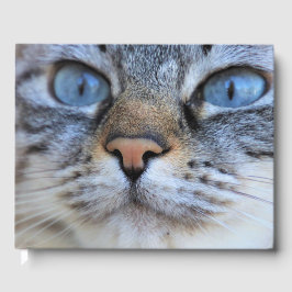 Grijze kat gastenboek