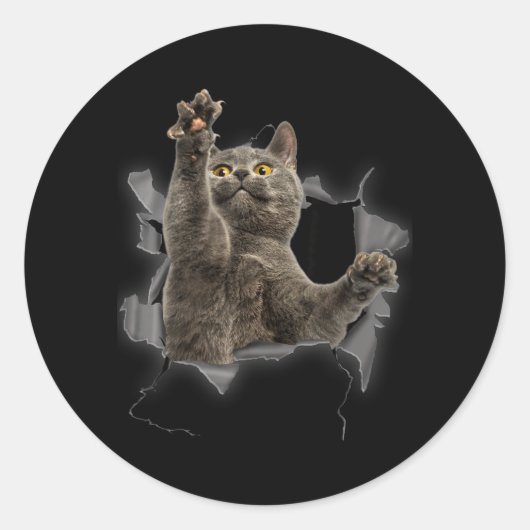 Grijze Kat Gescheurde Stof Grappige Kat Vader Kat Ronde Sticker (Voorkant)