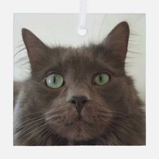 Grijze kat glas ornament (Achterkant)
