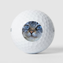 Grijze kat golfballen