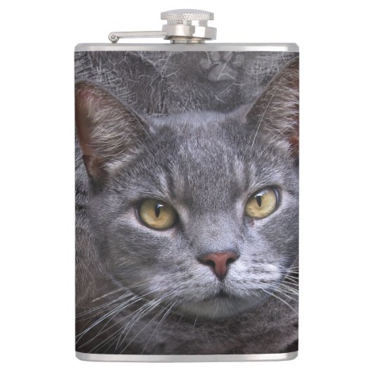 Grijze kat heupfles (Voorkant)