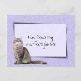 Grijze Kat Huisdier Verlies Van Dierenarts Briefkaart