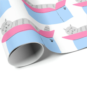 Grijze Kat In Doos Cadeaupapier