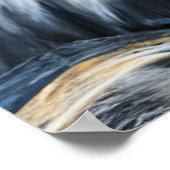 Grijze kat in een kroon poster (Hoek)