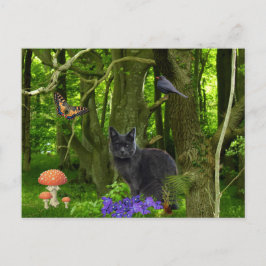 Grijze kat in het bos briefkaart