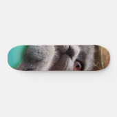 Grijze kat in kartonnen doos persoonlijk skateboard (Horizontaal)