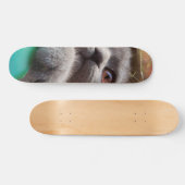 Grijze kat in kartonnen doos persoonlijk skateboard (Horizontaal)